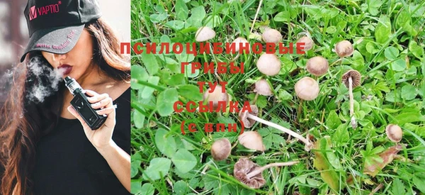 гашик Белоозёрский