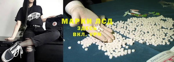 гашик Белоозёрский