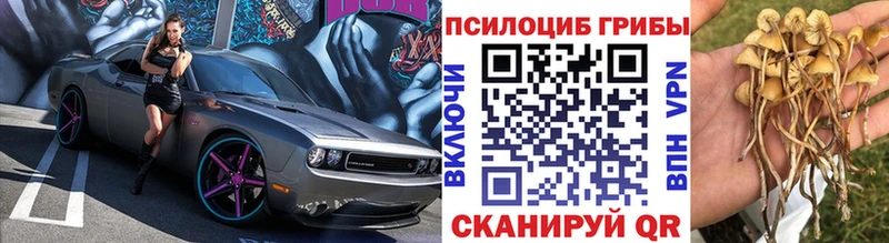 Купить закладки  Вичуга  Псилоцибиновые грибы ЛСД 